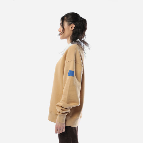 White collar Brown sweater
