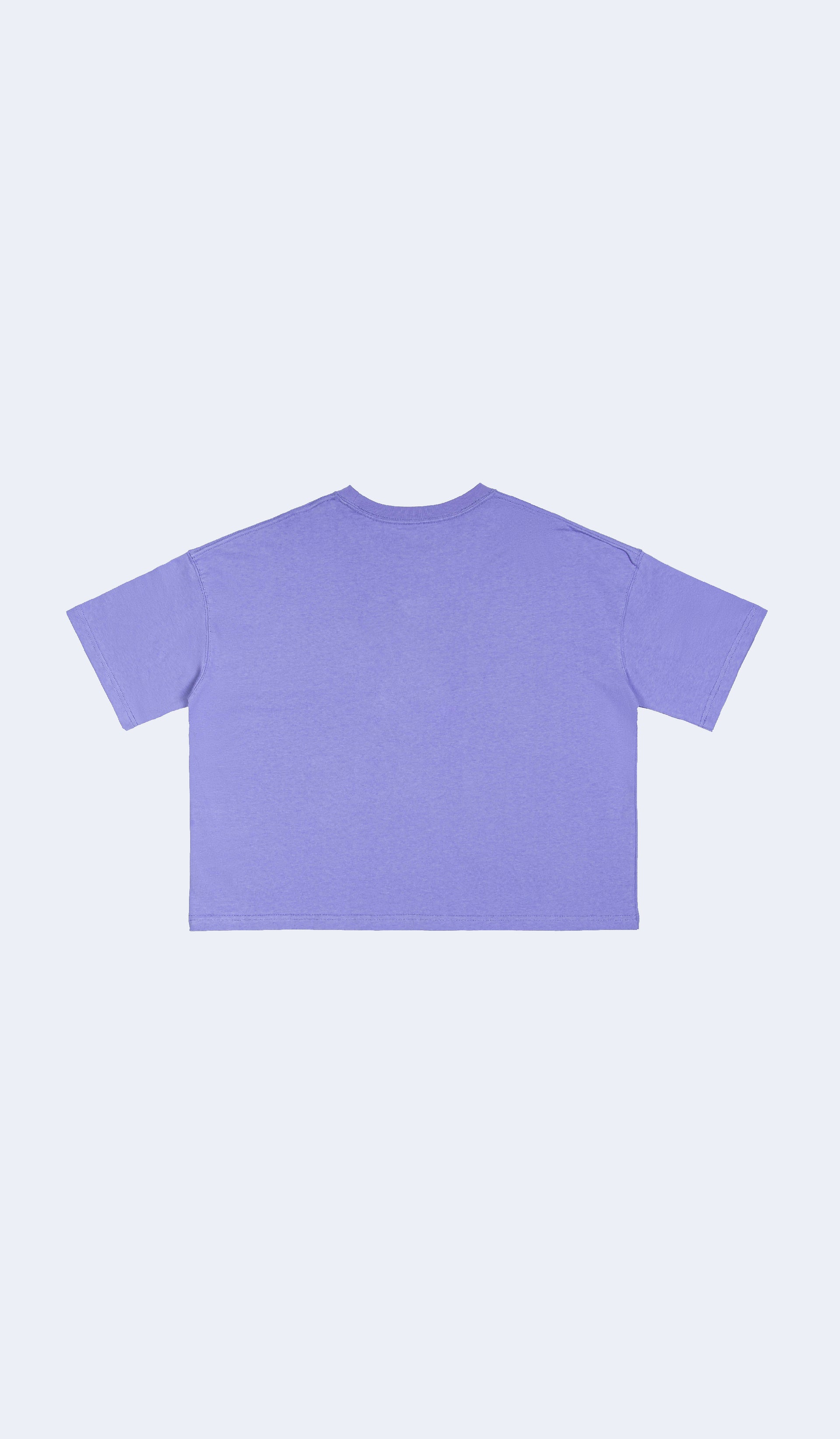 Travel Calories Don't Count Purple Cropped Tee