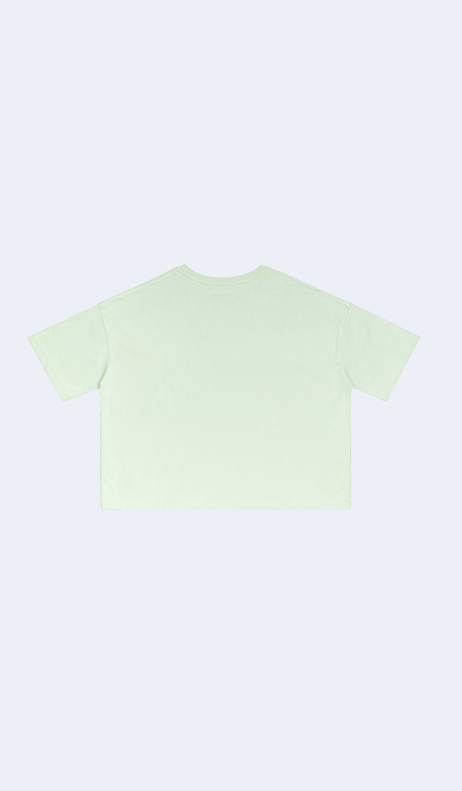 Overweight Baggage Who? Green Cropped Tee