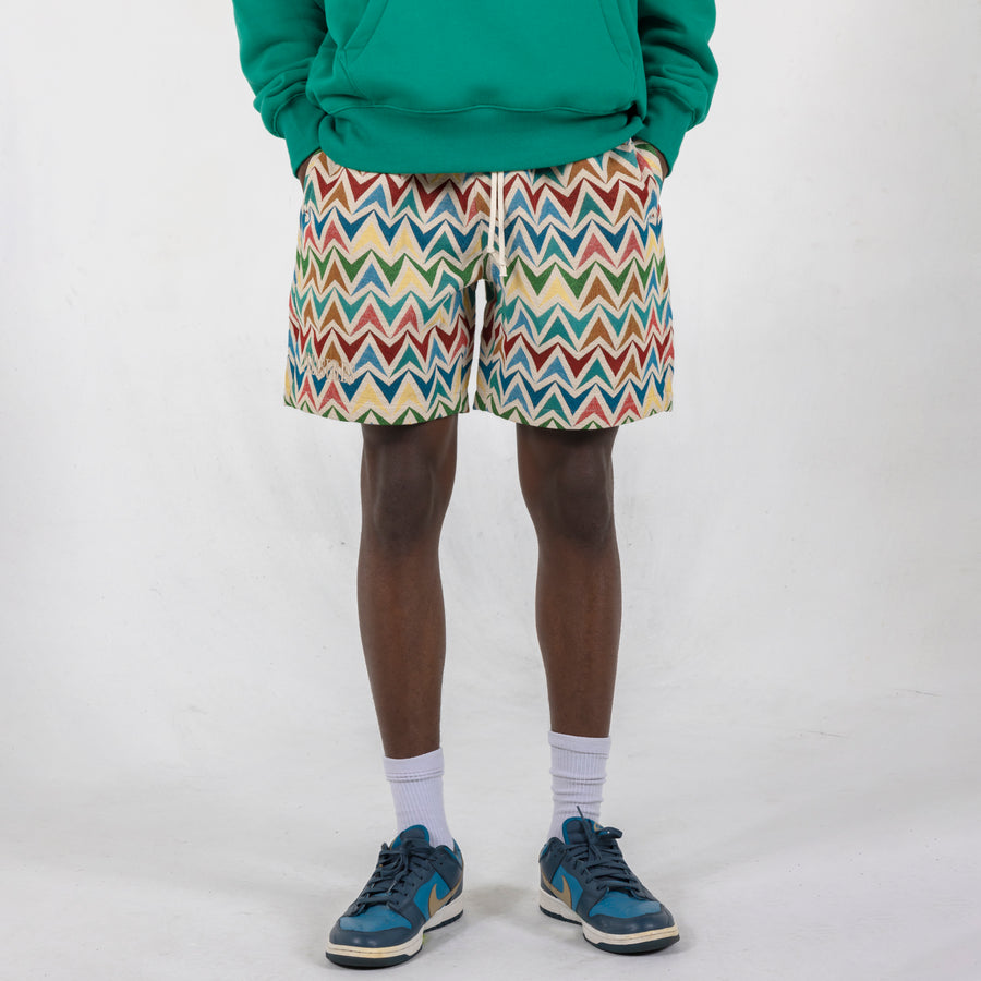 Basket Woven Shorts Multi/Khaki